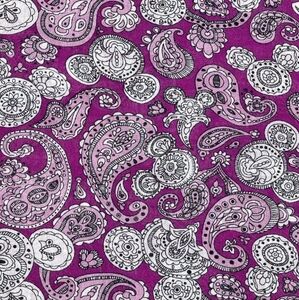 Disney Parks Hidden Mickey Mouse Rayon Fringe Fuchsia Paisley Scarf 18.5” X 35”